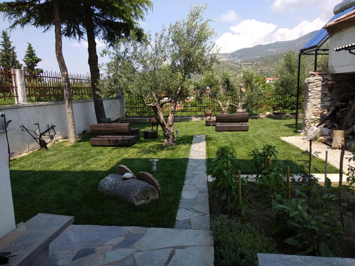 Villa Agnanti Apts And Suites Agio Pnevma Luaran gambar