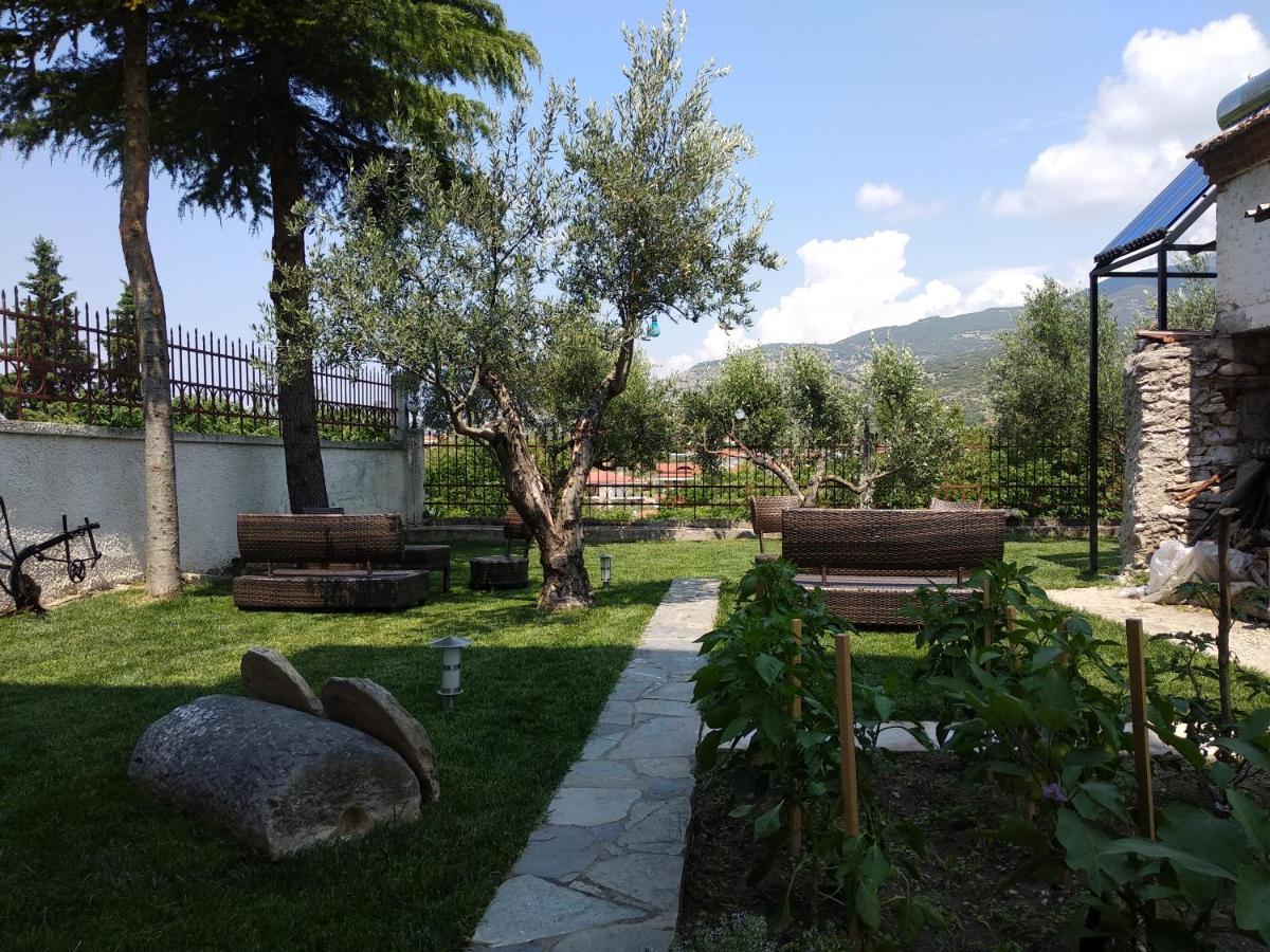 Villa Agnanti Apts And Suites Agio Pnevma Luaran gambar